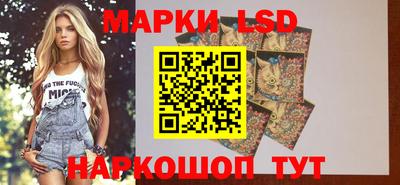 ПСИЛОЦИБИНОВЫЕ ГРИБЫ Нальчик