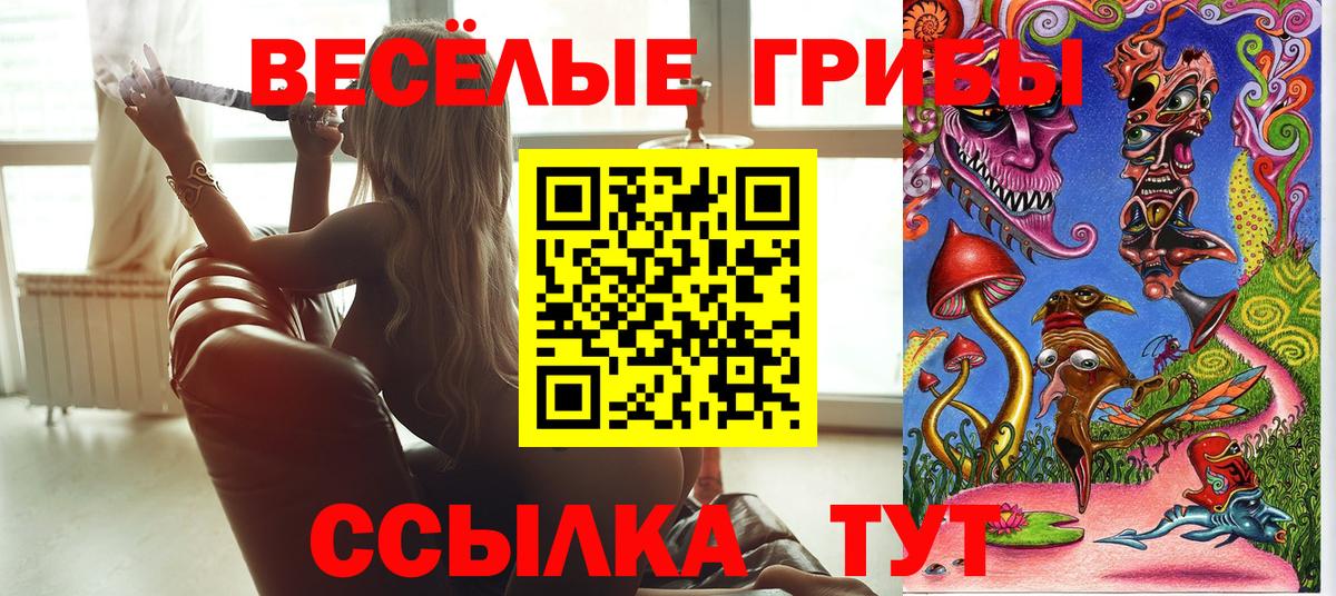 Псилоцибиновые грибы мицелий Чебаркуль