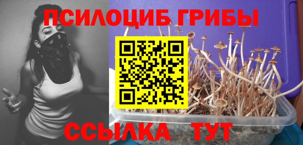 даркнет сайт  Псилоцибиновые грибы ЛСД  Вход с VPN  Псилоцибиновые грибы прущие грибы  Чебаркуль 